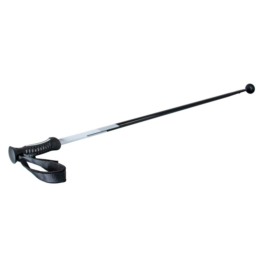 Annox Spike Skistokken