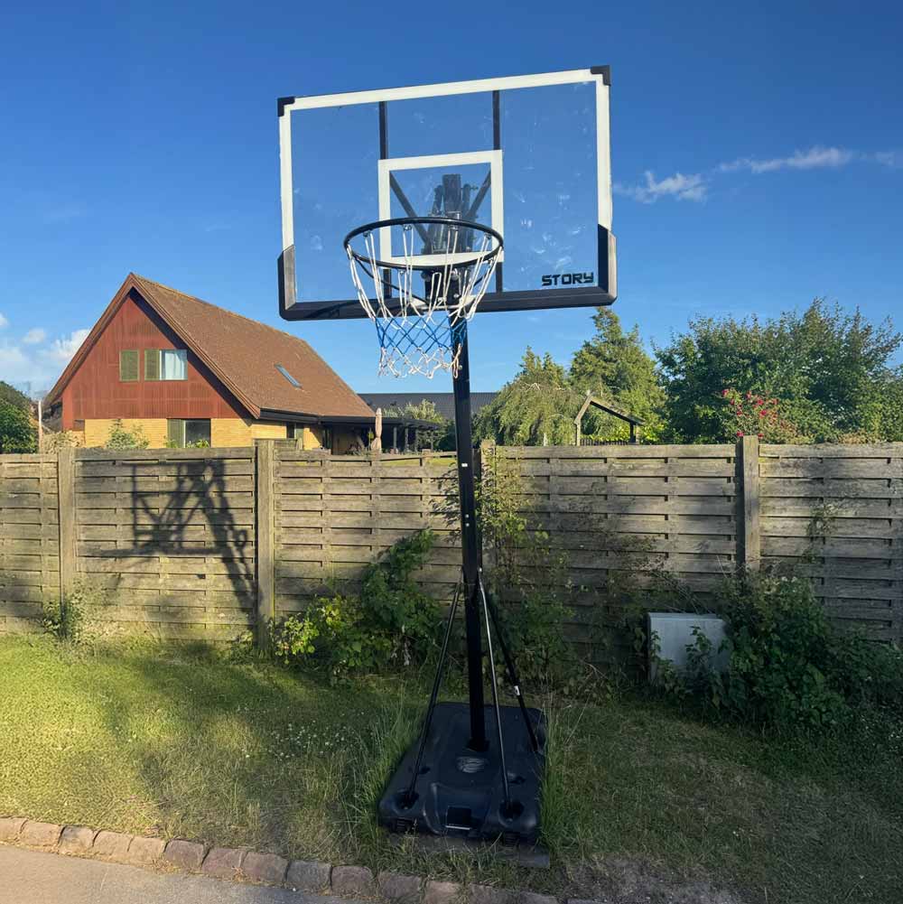 Story ProDunk Basketbalring