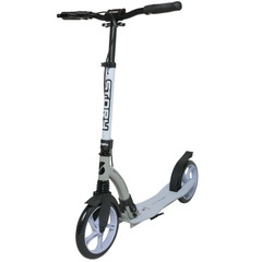 Story CityCruiser Transport Step