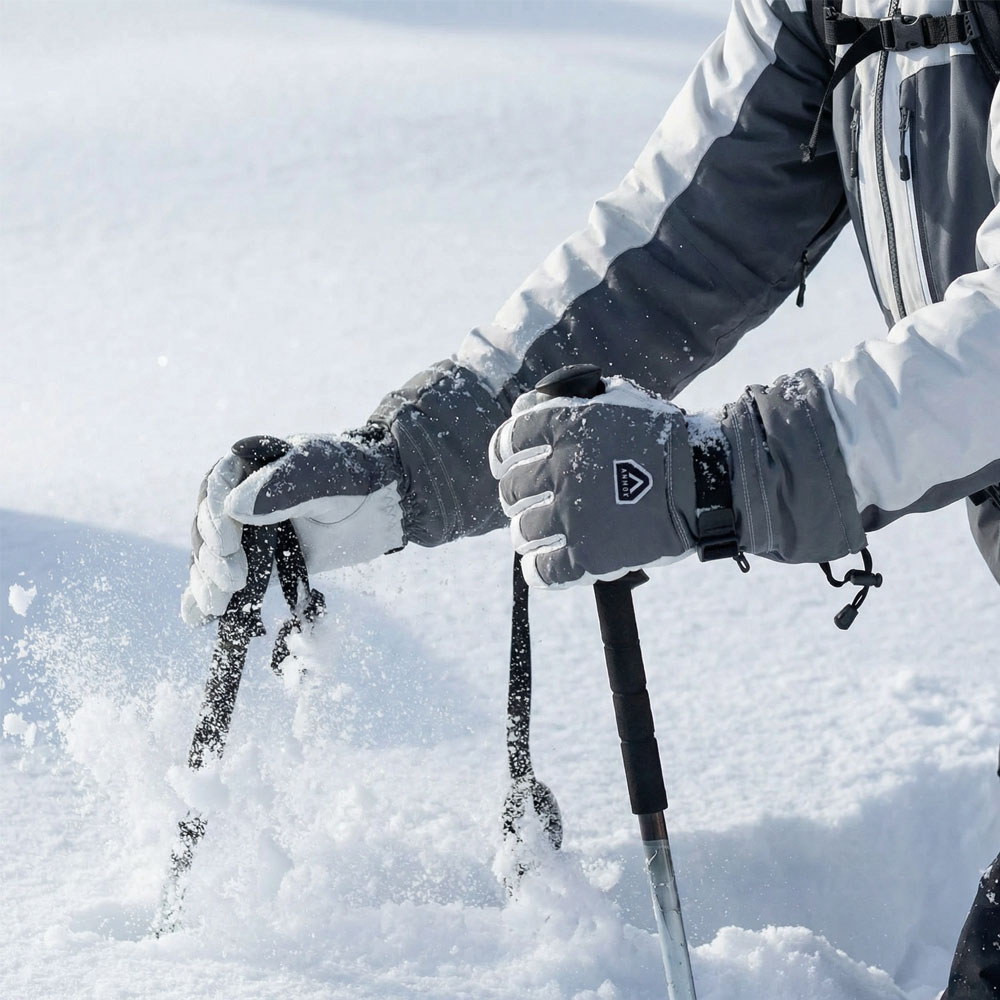 Annox Alpine Leren Skihandschoenen