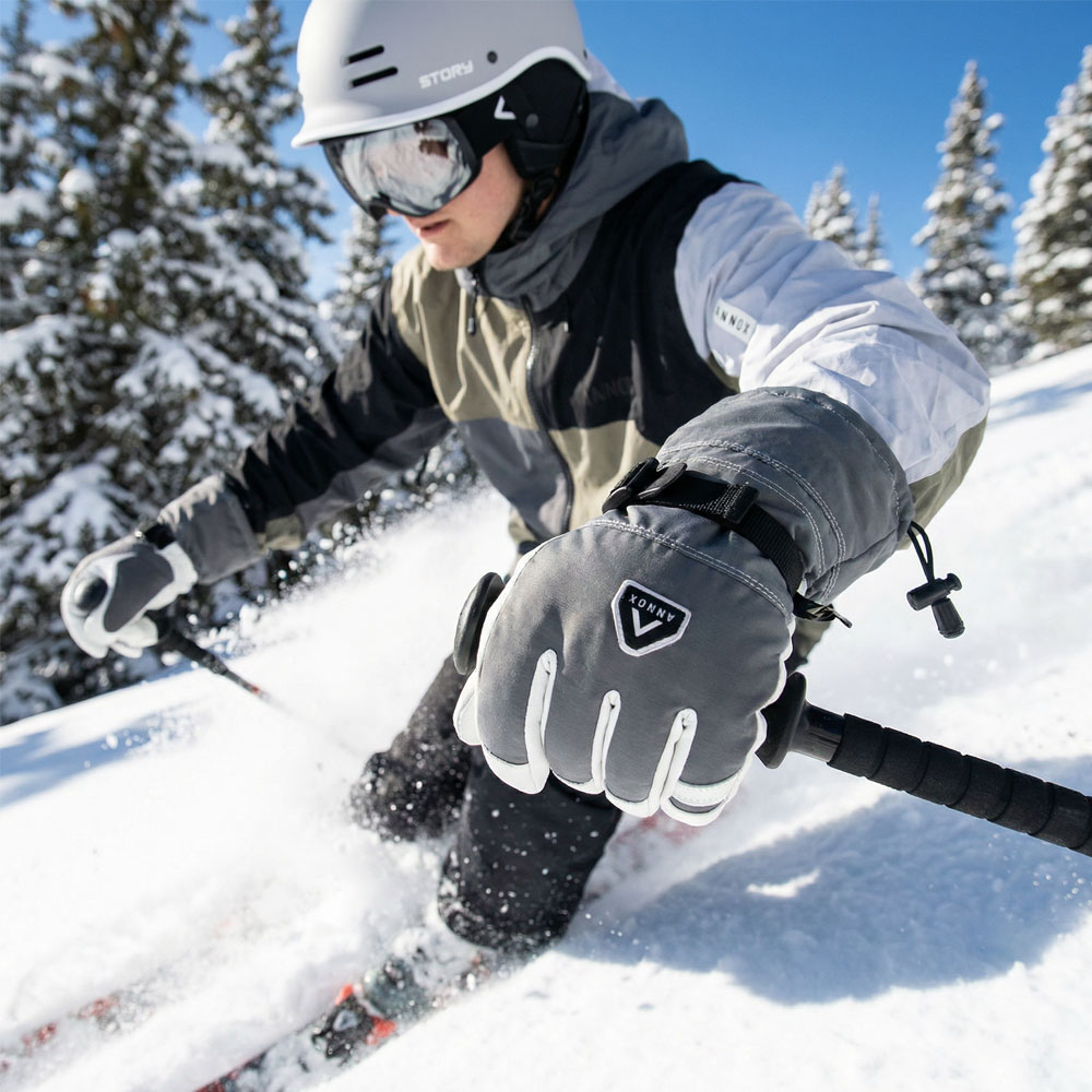 Annox Alpine Leren Skihandschoenen