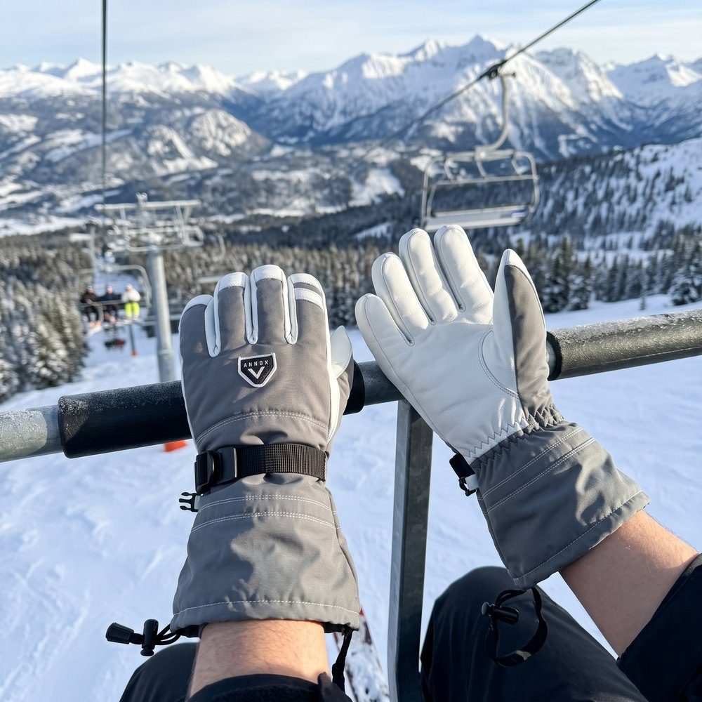 Annox Alpine Leren Skihandschoenen