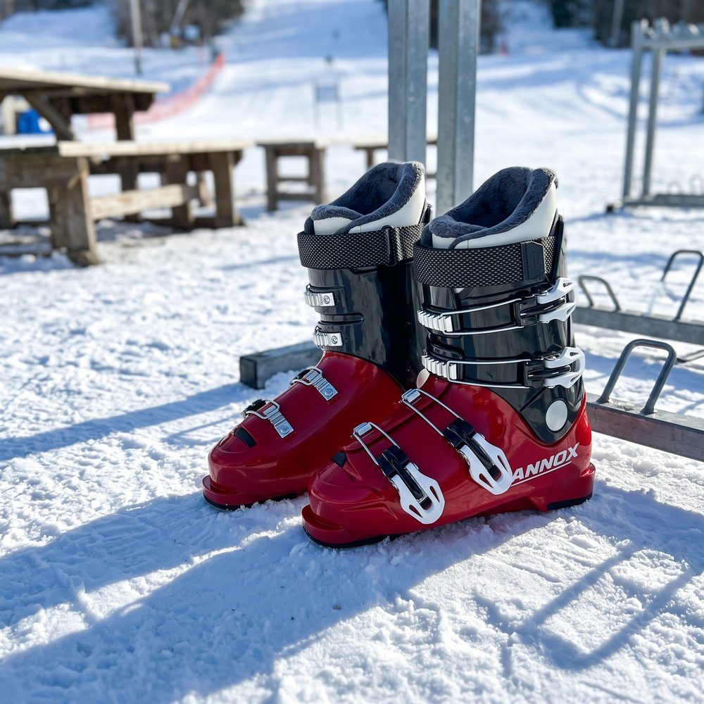 Annox Flow Skischoenen