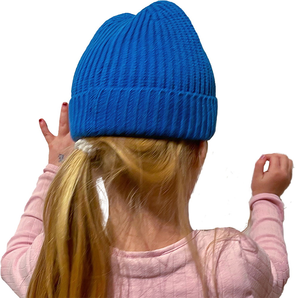 Annox Team Beanie