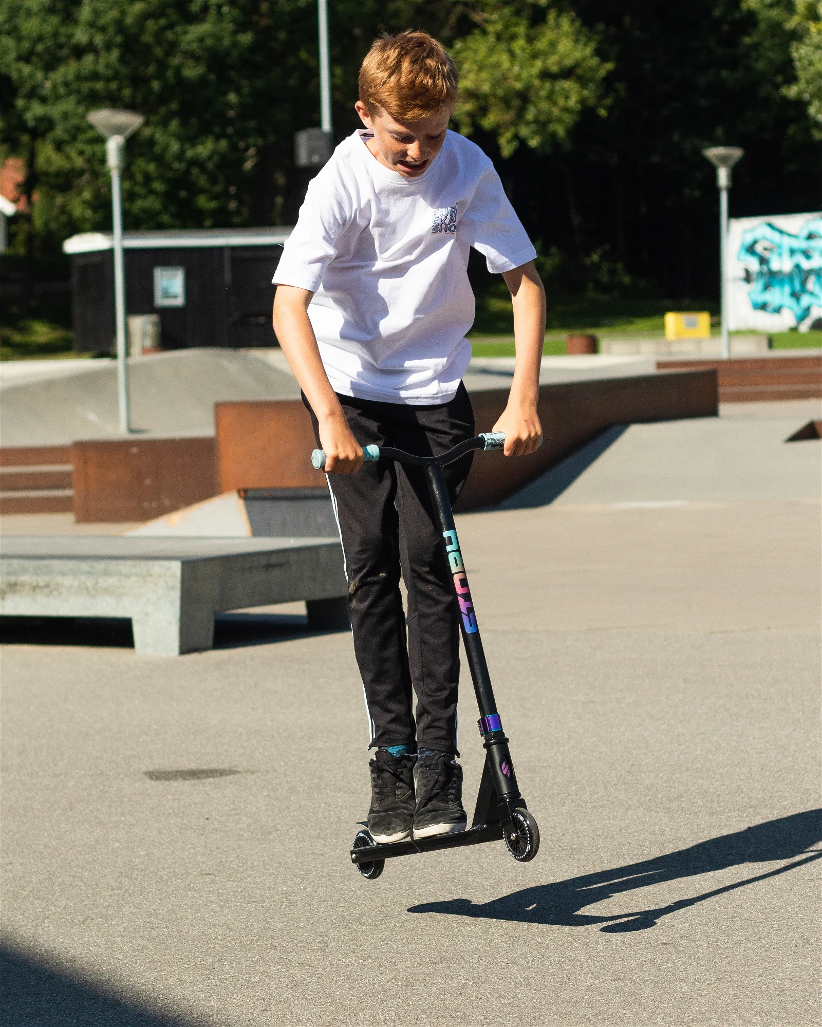 Story Outlaw Stuntstep