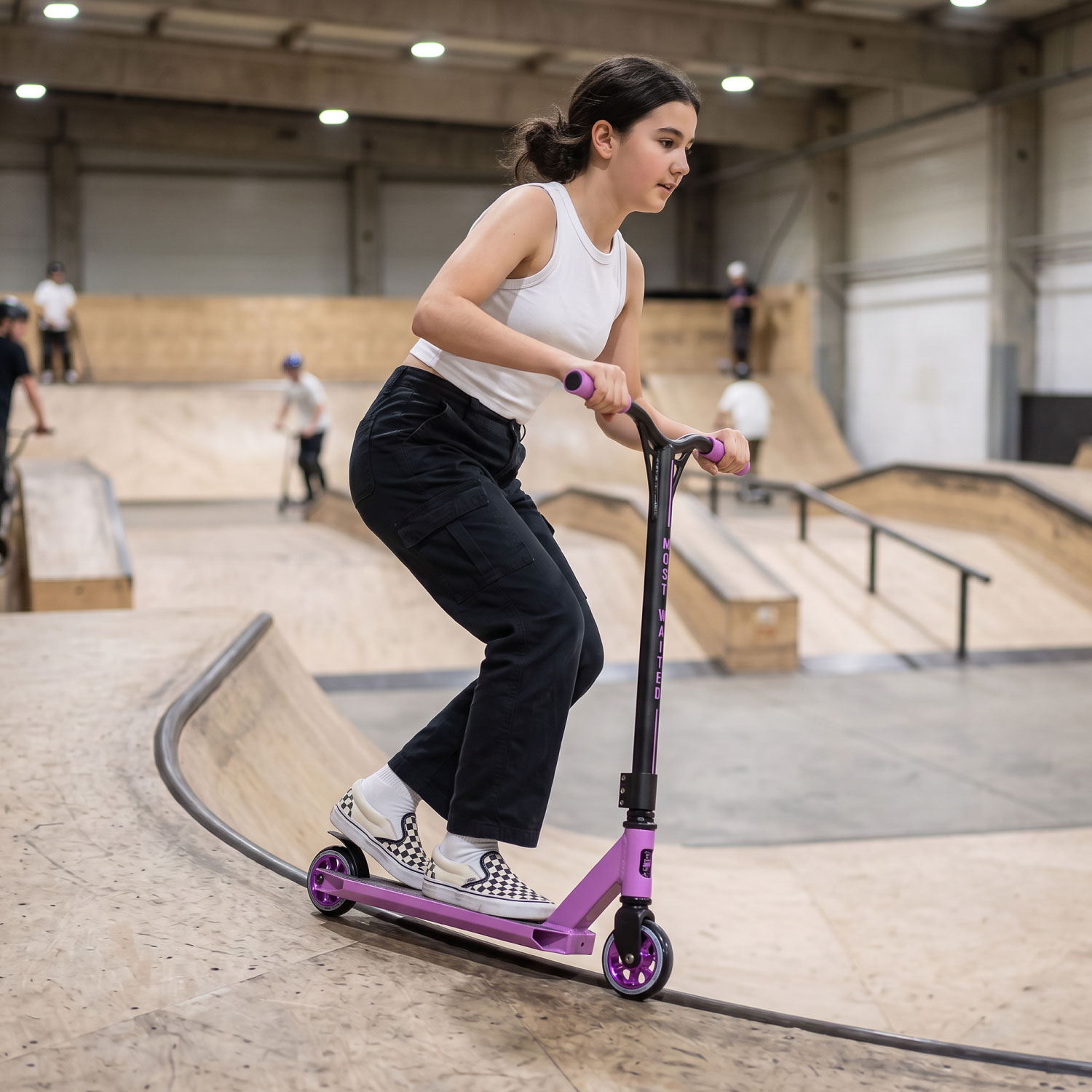 Story Bandit DOS Stuntstep