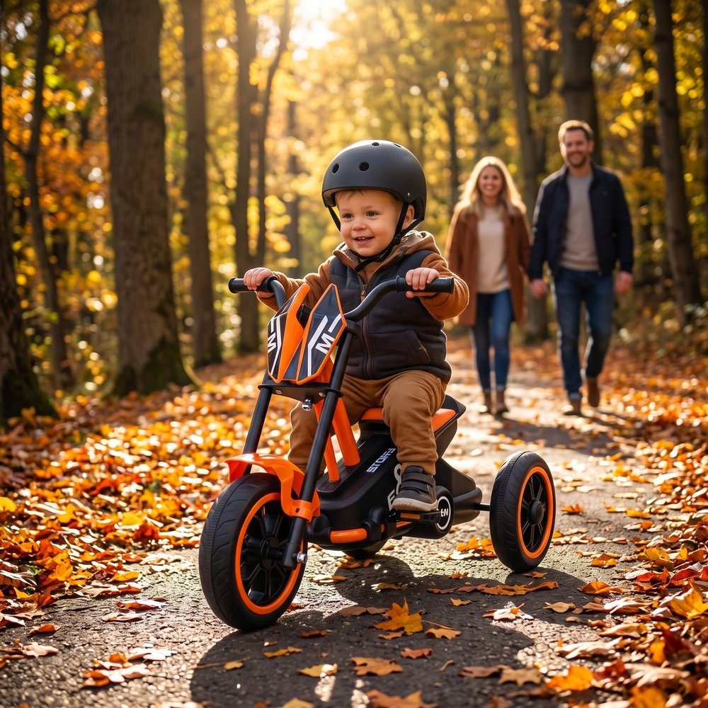 Story GoGo Tricycle