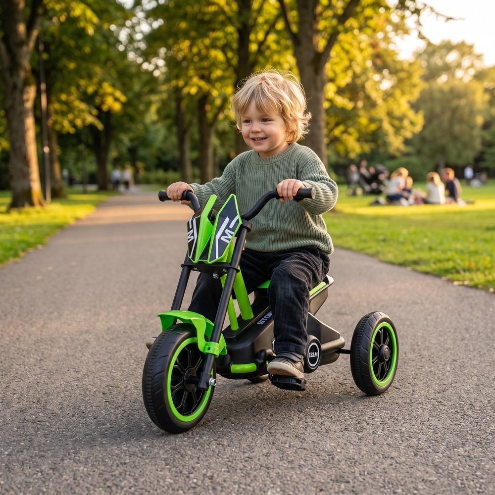 Story GoGo Tricycle