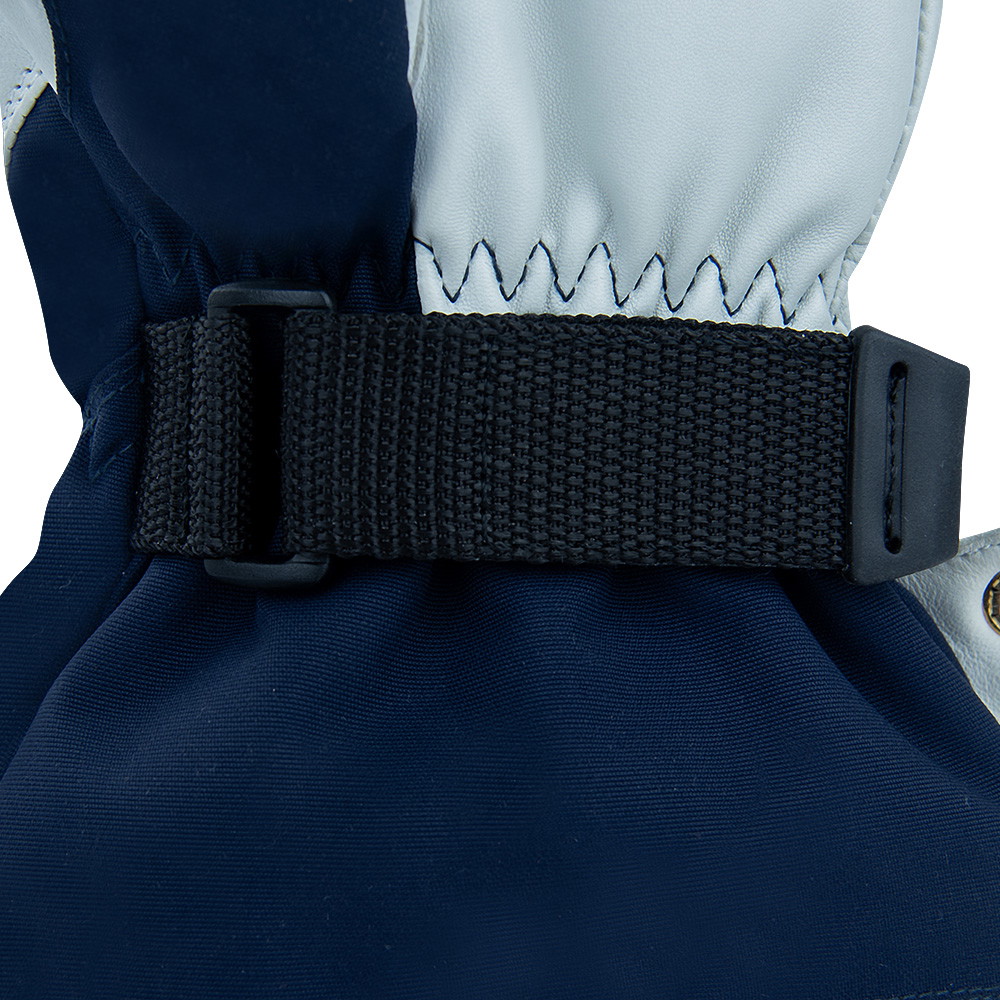 Annox Alpine Leren Skihandschoenen