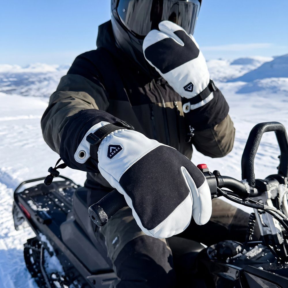 Annox Alpine Leren Skihandschoenen