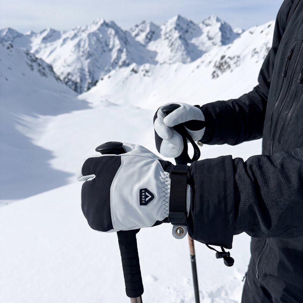 Annox Alpine Leren Skihandschoenen